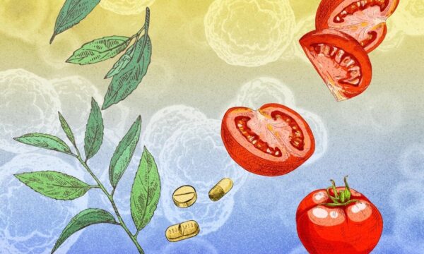 私は腫瘍科医——前立腺がんを避けるために実践していること