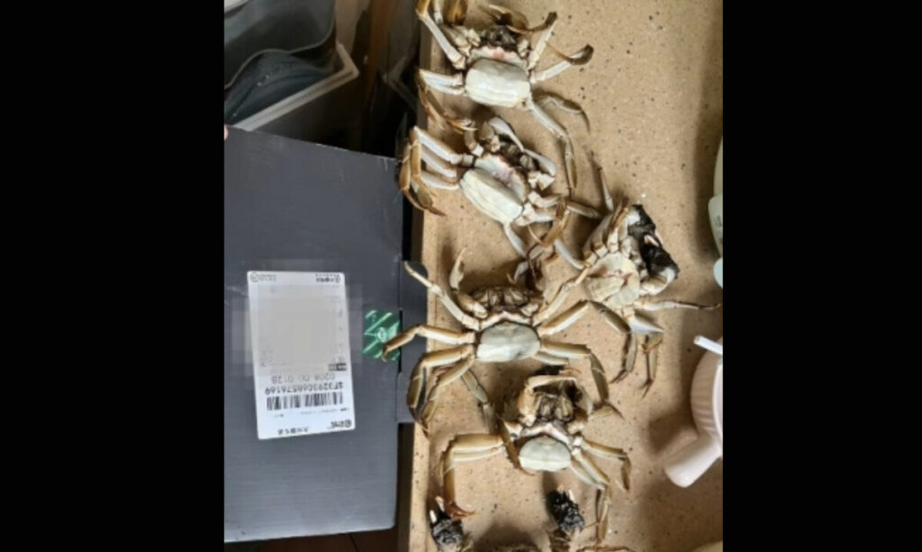 AIで作った偽の不良品画像で返金を迫った買い手が拘留＝中国