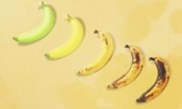 バナナの食べごろはいつ？　熟度で変わる健康効果