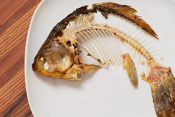 魚の骨が喉に刺さるリスクは想像以上に高い　どう対処すべき？