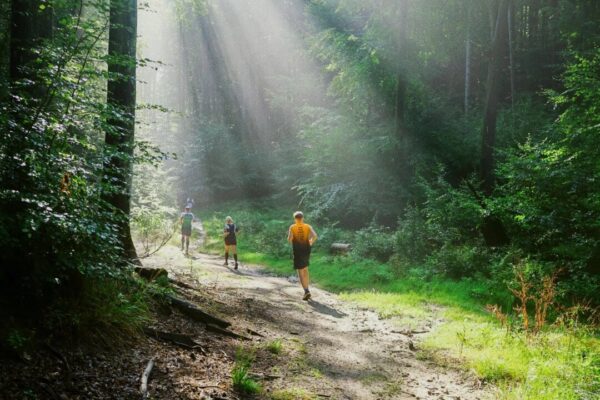血圧を上げている7つの習慣と　今日から変えられる逆転法