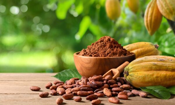 ココアを毎日少し——炎症・心臓・体重ケアにうれしい効果