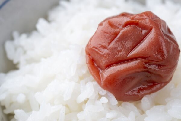 雹被害で大打撃の紀州梅干しを守れ　中国産依存の懸念も