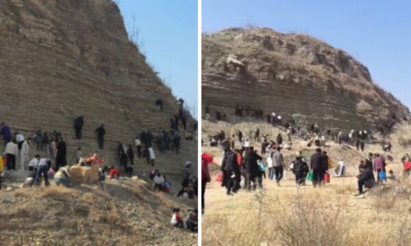 中国で「三葉虫」騒ぎ　山に押し寄せ化石を掘る人々