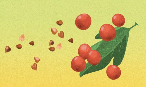 心臓の健康に強力なコンビ：そばとサンザシのお粥で脳卒中を予防