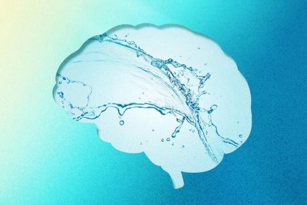 脳の老廃物を流す仕組み　アルツハイマー予防の鍵