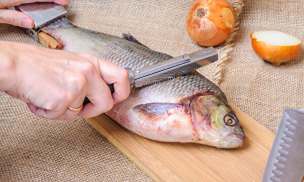 中国の活魚に「麻酔薬」　健康リスクも