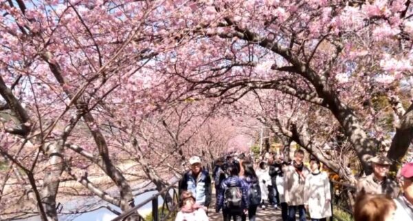 中国籍が日本の在留・帰化外国人数でいずれも首位に