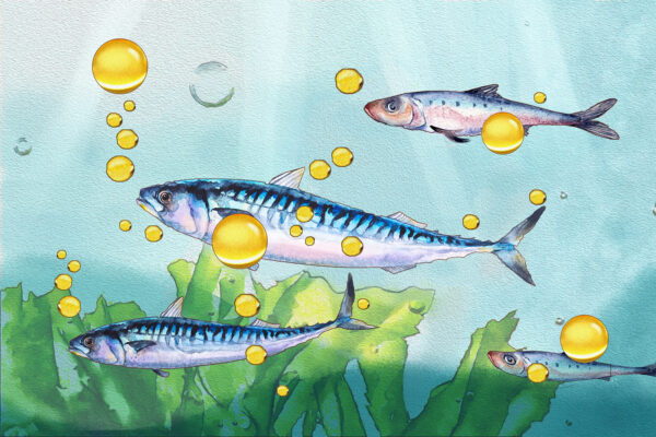 オメガ3の教科書：脳と骨の健康を高めるが、心臓の効果は不確実