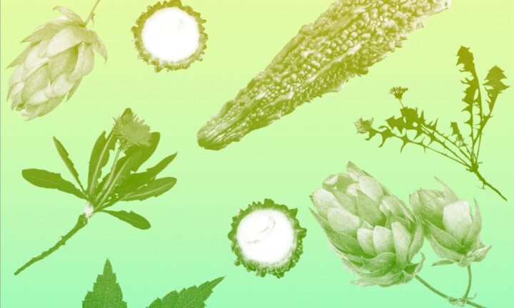 苦い食べ物が体にいい理由