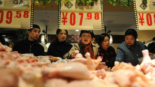 ロシア向け中国産鶏肉22トン　 抗生物質超過が発覚