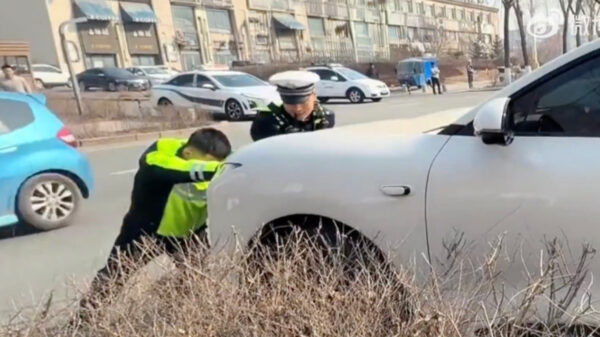 中国スマートカー勝手に動き出す 所有者追うも乗れず