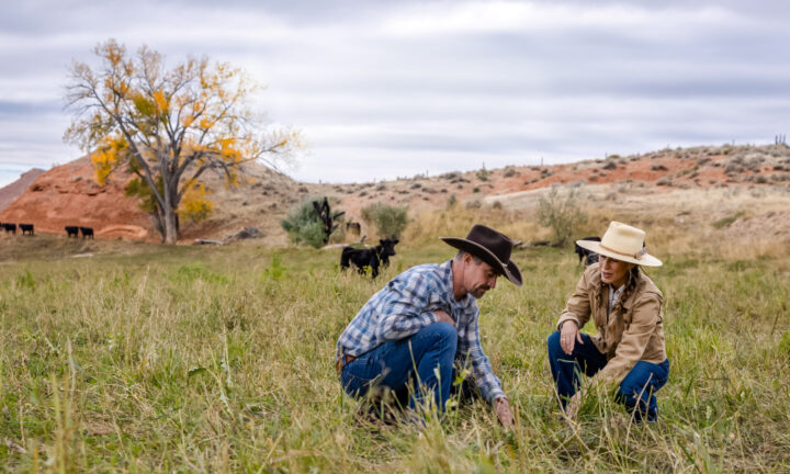 【独占】農薬・化学肥料から距離を置き　伝統と再生を探るアメリカの牧場主