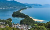 天橋立にクマ出没　海を泳ぎ住宅街に侵入、麻酔銃で捕獲