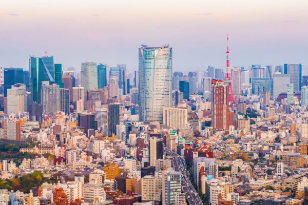 経営コンサル倒産が過去最多　AI台頭と「補助金頼み」の限界浮き彫り