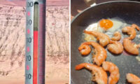 火を使わず料理　中国・新疆の火焔山で地表87℃