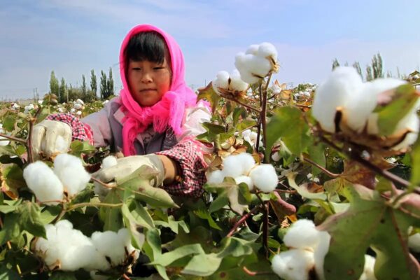 米国　中国企業43社を輸入禁止リストに追加　強制労働対策を強化