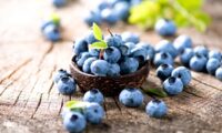 脂肪燃焼を助ける　脂肪が最も恐れる9つの最強食材
