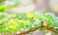 休むことに罪悪感を覚える人へ　人生を味わうための7つの習慣