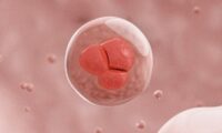 老化した細胞が幹細胞に戻って体を修復する仕組み