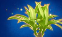 植物に意識はあるのか
