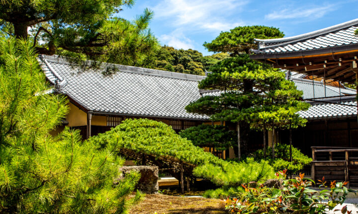 【万物有言】　中華文明はなぜ日本の精神に根づいたのか　千年の時を超える記憶
