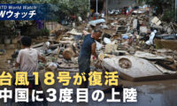 18：00 プレミア公開 | 台風18号が中国に3度目の上陸 福建や浙江省で洪水被害甚大 など｜NTD ワールドウォッチ（2026年09月04日）