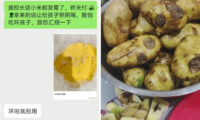 中国の学校「カビ食材」告発者を解雇