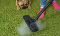 子犬が掃除機を怖がるとき　飼い主はどう対処すればよいか