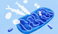 ビタミンB12不足が老化の兆候に似た症状を引き起こす仕組み