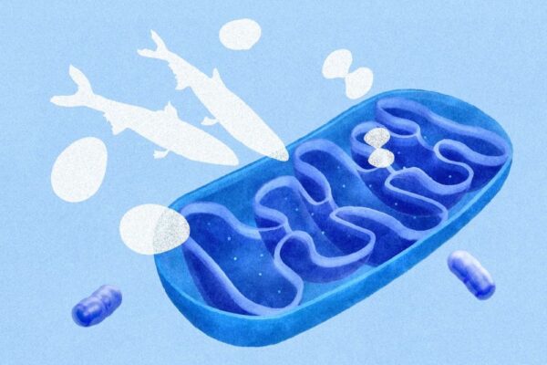 ビタミンB12不足が老化の兆候に似た症状を引き起こす仕組み