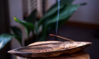 【万物は語る】草木から高遠へ